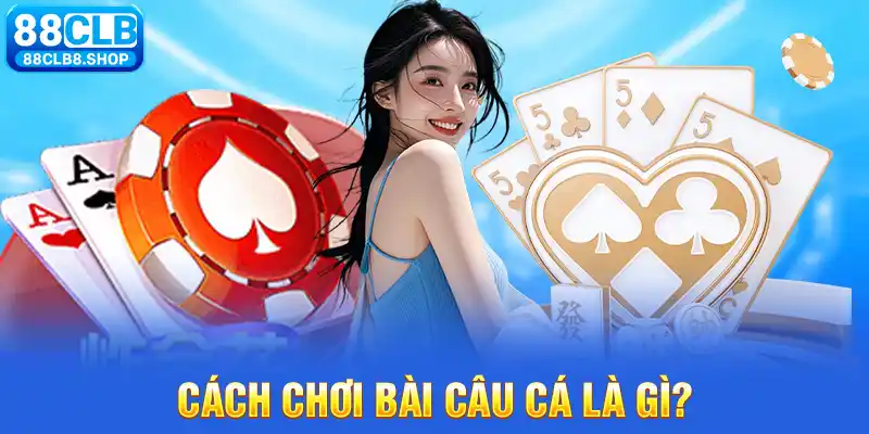 Cách Chơi Bài Câu Cá - Bí Kíp Rinh Thưởng Lớn Về Nhà - QIVON