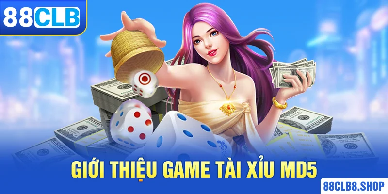 Tài Xỉu MD5 - Hướng Dẫn Cách Chơi Chi Tiết Từ Cao Thủ - QIVON