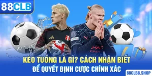 Thể Thao 88CLB - Cập Nhật Tin Tức Thể Thao Liên Tục 24/7 - QIVON