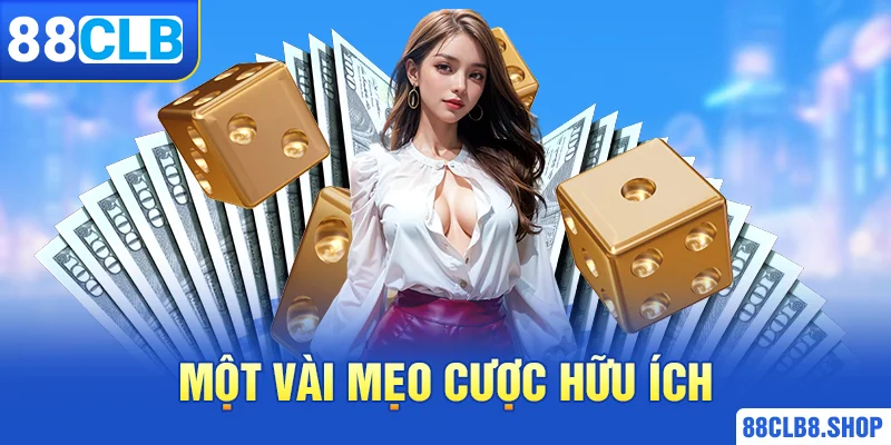 Tài Xỉu MD5 - Hướng Dẫn Cách Chơi Chi Tiết Từ Cao Thủ - QIVON