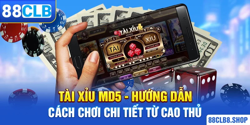 Tài Xỉu MD5 - Hướng Dẫn Cách Chơi Chi Tiết Từ Cao Thủ - QIVON