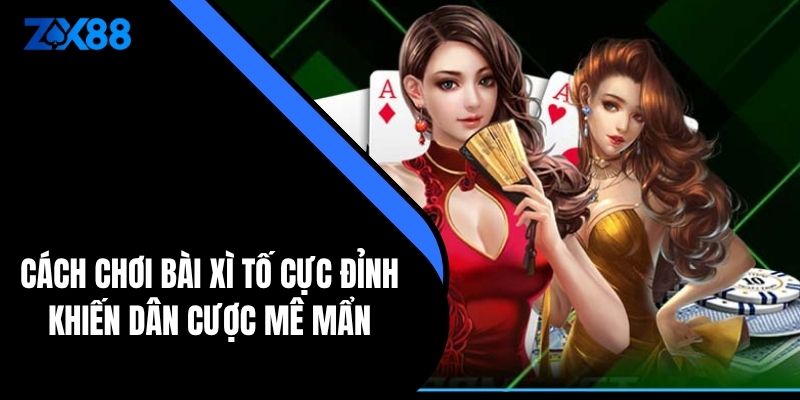 Cách Chơi Bài Xì Tố Cực Đỉnh Khiến Dân Cược Mê Mẩn - zx88 - QIVON