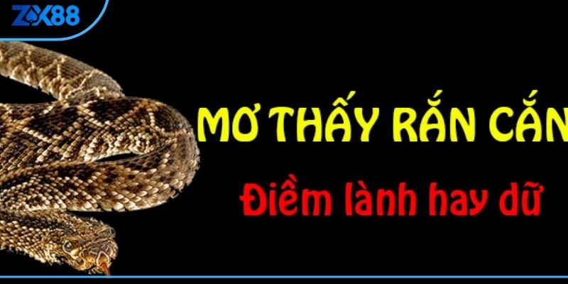 Mơ rắn cắn là điềm gì và số đề may mắn từ giấc mơ - zx88 - QIVON